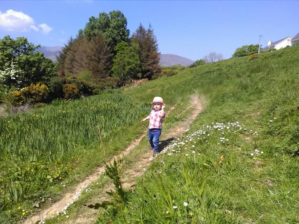 Shadow River Farm Anascaul Εξωτερικό φωτογραφία